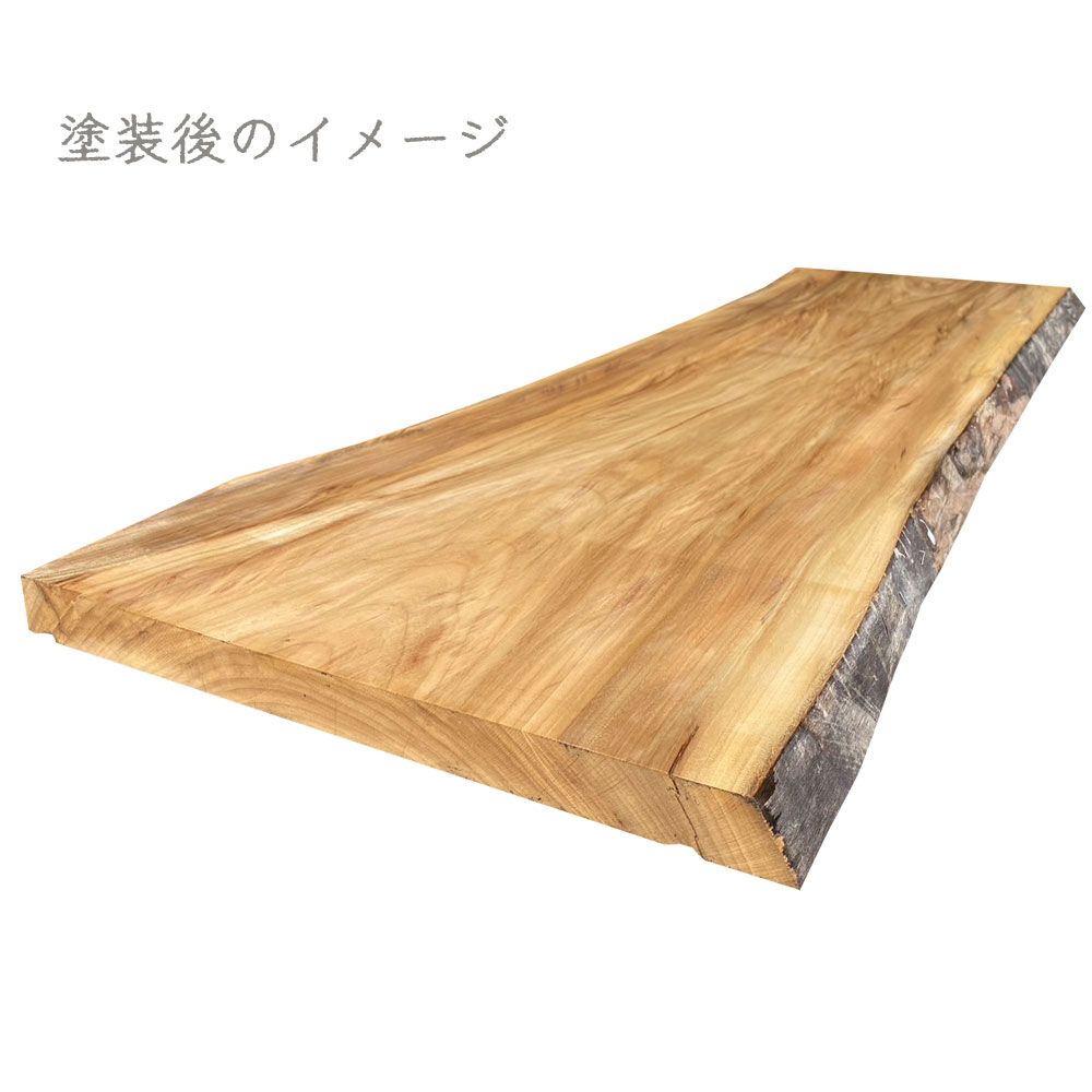 クスノキ 一枚板【幅・長さカット無料】 - 【最短翌日発送】木材 