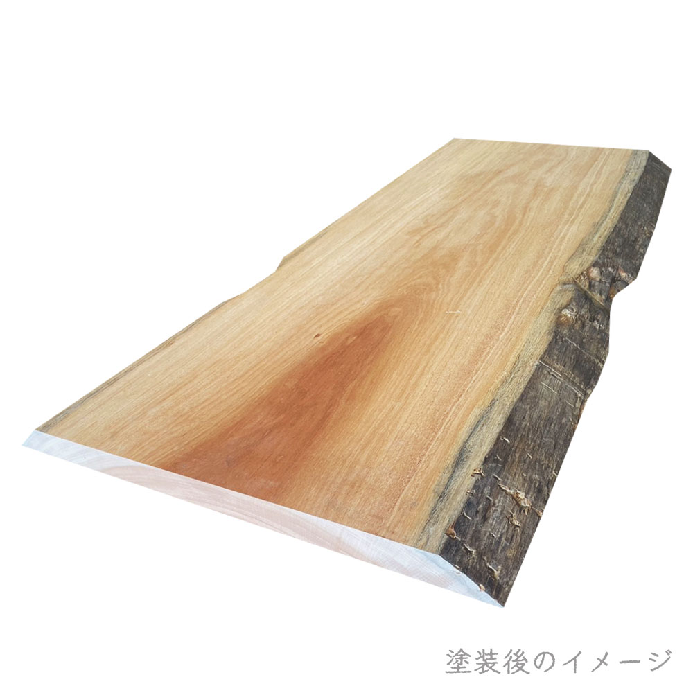 サクラ 一枚板【幅・長さカット無料】 - 【最短翌日発送】木材・ベニヤ  